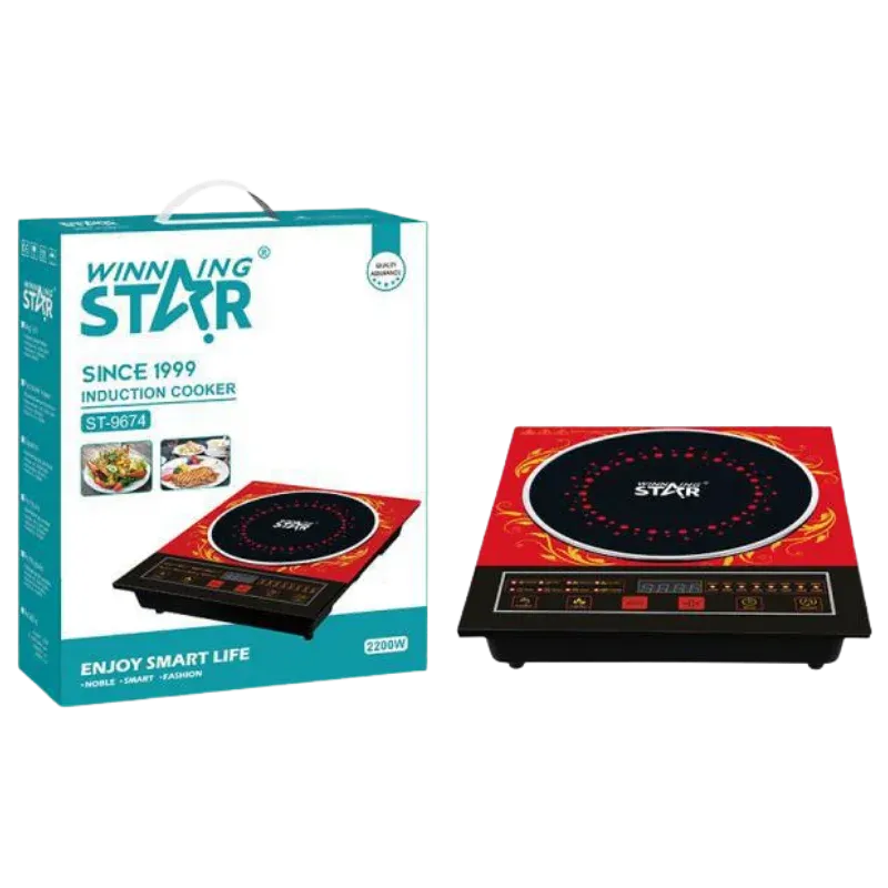 WINNING STAR ST-9674 ԻՆԴՈՒԿՑԻՈՆ ՍԱԼՕՋԱԽ