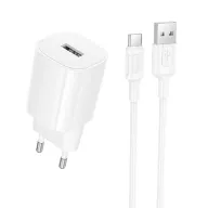 BOROFONE ԼԻՑՔ+ԼԱՐ BA101A TYPE-C ՍՊԻՏԱԿ